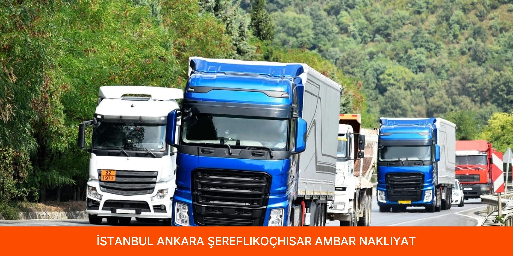 Şereflikoçhisar Ambar